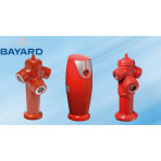 bayard